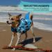 Buy Cit toile Dog Life Jacket - Safe & Lightweight Shark Design for Swimming | Reflective Vest for All Dog Sizes - Blue Camouflage XXL - Buy Online on GoSupps.com