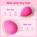 BEAKEY Makeup Sponges Trio Set - Large Mini & Standard Blender for Powder Cream & Liquid - Soft Rose Pink Beauty Sponges - Buy Online on GoSupps.com