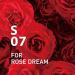 100% Pure Essential Oil Blend for Rose Dream - Supplement Air - 10 ml - Buy Online on GoSupps.com