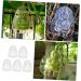 Kisangel 5pcs Vegetable Mold Ginseng Melon Shaping Multi-Function Fruit Mold Gourd Shaper - Buy Online on GoSupps.com