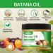 100% Pure Batana Oil for Hair Growth - Unrefined Organic & Natural | Dr. Sebi's Raw Batana Oil from Honduras | 4.05oz/120ml for All Hair Types - Buy Online on GoSupps.com