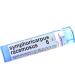 Buy Boiron Symphoricarpus Racemosus 6C - Natural Homeopathic Remedy for Optimal Health | International Shipping Available - Buy Online on GoSupps.com