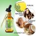 Rosemary Essential Oil for Hair Growth & Skin Care (2 Fl Oz) - Stimulates Growth, Nourishes Scalp, Improves Circulation - Hair Loss Treatment - Buy Online on GoSupps.com