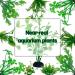 16 PCS Lancare Aquarium Plants Decoration - Artificial Green Aquatic Plants for Aquariums - Perfect for Stunning Underwater Landscapes - Buy Online on GoSupps.com