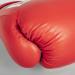 Paffen Sport Allround Eco Boxing Gloves - Red/Black 14oz for Training & Sparring in Boxing Kickboxing & Muay Thai - Buy Online on GoSupps.com