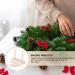 Kisangel 5-in-1 Bow Maker Tool for DIY Craft - Perfect for Ribbon Wreaths and Holiday Decorations - Buy Online on GoSupps.com
