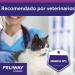 Ceva - Refill Feliway - Buy Online on GoSupps.com