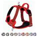 Eyin dog harness for medium-sized dogs adjustable breathable reflective padded and breathable breast dishes with handle and front bracket for daily training (red m) m (neck: 37-50cm breast: 40-68cm) red