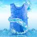 Summer Icy Cooling Vest for Men & Women - Evaporation Cooling Safety Vest for Fishing Cycling Running & Cooking - International Shipping - Buy Online on GoSupps.com
