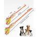SCHITEC Dog Tug Toy - Interactive Bungee Rope Toy with Squeaky Sound for Small, Medium, Large Dogs - Buy Online on GoSupps.com