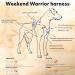 Hurtta Weekend Warrior Dog Harness | Adjustable 100-120 cm | Durable Raven Color | Best for Large Dogs 39-47 in - Buy Online on GoSupps.com