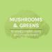Fungi Perfecti Myco Botanicals Greens 3.5 oz | Organic Superfood Blend - Buy Online on GoSupps.com