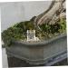 Balacoo 2pcs Pet Water Feeder Ants Water Feeding Bowl Ants Water Bowl Ants Waterer Cup Insect Feeder Plastic - Buy Online on GoSupps.com