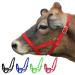 Derby Originals Adjustable Nylon Livestock Cattle Halters Available Large (800-1400lbs) Red
