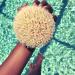 EcoTools Dry Body Brush - Enhance Your Skincare Routine & Boost Circulation - Buy Online on GoSupps.com