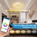 36W LED Ceiling Lamp with Bluetooth Speaker - Smart RGBW Adjustable Ceiling Light with Remote & App Control for Bedroom Kitchen Bathroom & Living Room - 30cm - Buy Online on GoSupps.com