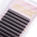 Y Lash Extensions | YY Eyelash Extensions | 5D Volume C Curl Premade Fans (0.07C 8mm) - Shop Now! - Buy Online on GoSupps.com