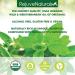 Organic Oil of Oregano - 1 fl oz Concentrated Immune Support Drops | RejuveNaturals - Buy Online on GoSupps.com