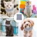 NOLITOY Lint Comfortable Earmuff Pets Dog Portable Warm Accessory for Supply Puppy Snood Multi-Function S Grey - Buy Online on GoSupps.com