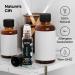 Buy Healing Solutions Head Relief Essential Oil Roll-On | Organic Clove Oil Aromatherapy | 10ml - International Shipping Available - Buy Online on GoSupps.com