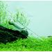 DXIA 2 Pcs Clear Crystal Glass Planaria Trap Cathers Durable Worm Catch Pen Shrimp Leeches Catcher with One 3 Holes for Cherry Shrimp Crystal Red Shrimp Dwarf Shrimp Aquarium Supplies - Buy Online on GoSupps.com