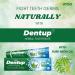 Dentup Herbal Toothpaste with Neem - Complete Oral Hygiene | Pack of 2 (100 gm x 2) - Buy Now - Buy Online on GoSupps.com