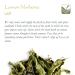 Organic Lemon Verbena Herbal Tea - Handpicked from Greece | Aloysia Triphylla - 100g Pack | Refreshing Verveine & Luisa Tea - Buy Online on GoSupps.com