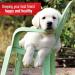 Sulfodene 3 Way Ointment - Fast-Acting Relief for Pets | Buy Online - Buy Online on GoSupps.com