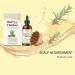 Oil for Dry Hair | Natural Moisturizer with Scalp Massage 100ml Nourishing and Repairing Oil Set | For Curly Frizzy Long Fine Straight Hair with Split Ends Men and Women - Buy Online on GoSupps.com