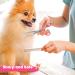 6 in 1 Professional Dog Grooming Scissors Kit with Safety Round Tips - Titanium Coated Stainless Steel Shears for Pets - Pink - Buy Online on GoSupps.com