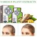 Ninnyi Ginger Plant Extract Anti-Hair Loss Hair Shampoo Ginger Shampoo Promotes for Hair Growth - Buy Online on GoSupps.com