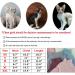 Bonaweite Hairless Cats Turtleneck Sweater - Breathable Adorable Cat Wear Shirt for Sphynx, Cornish Rex, Devon Rex, Peterbald - Blue - Buy Online on GoSupps.com