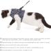 Buy Etopars Adjustable Cat Dishes & Ultra-Light Harness Vest for Kittens | International Shipping Available - Buy Online on GoSupps.com