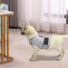 Shop Cattamao Comfort Dog Annex - Soothing Vest for Fear Relief (Small Light Gray) - Perfect for Thunderstorms Fireworks & Vet Visits - Buy Online on GoSupps.com