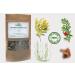 Urinary Prostate Tea | UTI Relief with Small Flower UVA URSI & Goldenrod | Herbal Remedies by J. - 50g - Buy Online on GoSupps.com