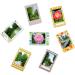 Colorful Bundle Set Accessories for Fujifilm Instax Mini Cameras - Film Sticker, Desk Frames, Hanging Frame, Strap - Buy Online on GoSupps.com