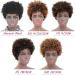 Ms Taj Short Afro Kinky Curly Human Hair Wig | Brazilian Virgin 150% Density Afro Wig for Black Women | Machine Made Unprocessed Natural Color - Buy Online on GoSupps.com