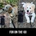 Gorilla Grip Portable Dog Water Bottle - Leak Proof 20oz Silicone Dispenser for Puppy Walks, Travel, Hiking - Keep Pets Hydrated on the Go - Black - Buy Online on GoSupps.com