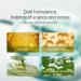 Face Lift Tape Face Mask V-Line Face Mask Skincare - V Shape Face Tape Face Mask Chin Up Patch with Aloe & Hyaluronic Acid Chin Contour Tightening Double Chin Jawline for Women & Men 5 - Buy Online on GoSupps.com