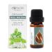Essences Bulgaria Bio Lemon Melisises Essential Oil 10ml |Melissa Officinalis |100% natural clean |Undiluted |Bio-certified |Top quality from family business |Without genetic engineering |Vegan lemon balm 10 ml (1 Pack)