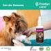 LUCAA+ Pets Wound Care 100 ml | Injury Cleaner for Dogs/Cats with Probiotics | Bio Vegan & Natural - Buy Online on GoSupps.com