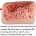 MAHWER Simulates wound dressing and tourniquet training Bleeding control training to stop bleeding Simulated human skin For medical education - Buy Online on GoSupps.com