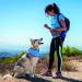 Cooling Collar for Dogs | Breathable Summer Neckerchief for Ultimate Heat Relief - Buy Online on GoSupps.com