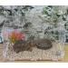 OMEM Reptile Natural Bowl Food and Water Dish Resin Made (Tree bark) - Buy Online on GoSupps.com