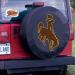 Holland Bar Stool Co. Wyoming Cowboys Black Tire Cover - 30 x 10 inches - Buy Online on GoSupps.com