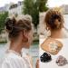 4 x Large Acrylic Octopus Hair Clamps - Non-Slip Spider Clips for Thick Hair - Super Strong Hold Accessories for Women & Girls - 8 cm - Buy Online on GoSupps.com