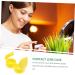 Gatuida 10pcs Lens Holder Case - Contact Lens Case Gland Type Duplex Box for Safe Storage - Buy Online on GoSupps.com