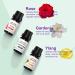 AMMIY Essential Oils Gift Set - Top 6 100% Pure Scented Oils with Gardenia, White Tea, Rose, Freesia, Ylang, Cherry Blossom - 10ml Youth Blue Set - Buy Online on GoSupps.com