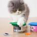 7 Pcs Silicone Pet Food Can Lid Covers - Fits All Standard Dog and Cat Cans - Buy Online on GoSupps.com