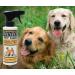 Banixx Pet Care 8oz - Fungal & Bacterial Infection Treatment for Pets - Buy Online on GoSupps.com
